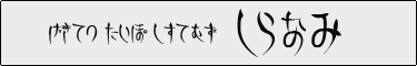 GekitetzTypoSystems.shiranami